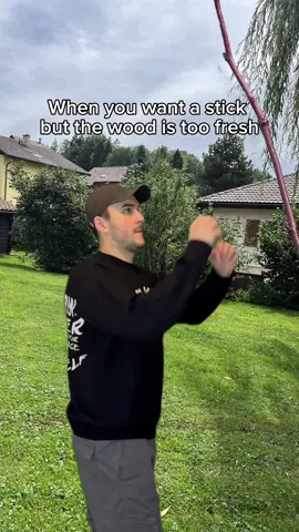 Then your hands stink 😭  #foryoupage #fyp #childhood #childhoodmemories #relatable #meme #tree 