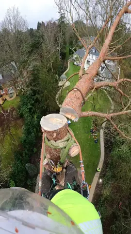 Lil bit wobbly #treelife #arborist #fyp 