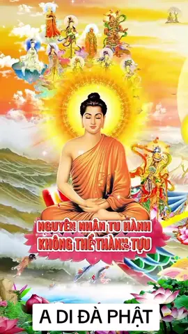 A DI ĐÀ PHẬT #loiphatday #phapmontinhdo #phatphapnhiemmau #motcauadidaphatniemdencung #daophat #daophatvadoisong #phatgiao #niemphat #niemphatvangsanh #niemphatthanhphat #niemphatmoingay #dayconniemphat 