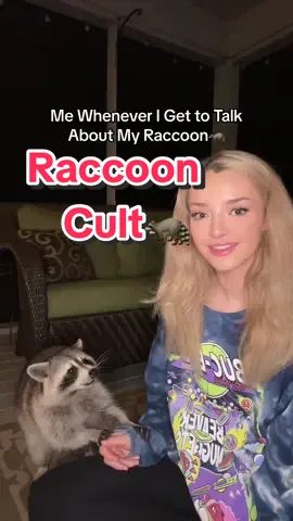 Zoe Would Def Run a Cult🦝  • • • #raccoon #raccoons #raccoonsoftiktok #raccoonsoftiktok🦝 #trashpanda #trashpandas #trashpandasoftiktok #tanuki #babyraccoon #raccoonbaby #ratonlaveur #mapache #wildlife #wildliferescue 