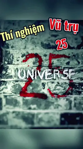 Thí nghiệm vũ trụ 25 #nguoithitham #mystery #universe25 #vutru25 #thinghiemvutru25 #chuot 