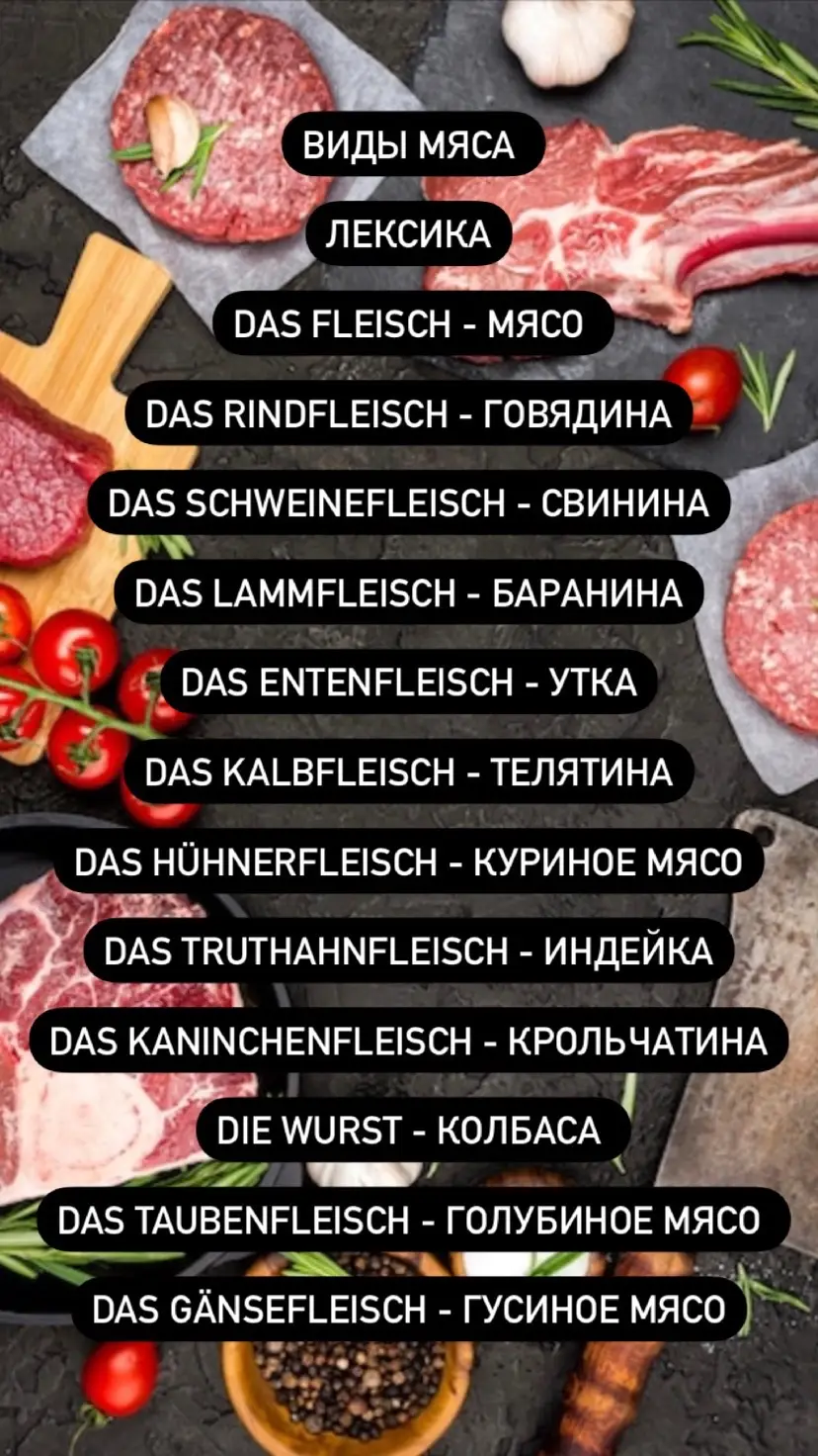 #слова #deutschlernen🇩🇪 #україна🇺🇦 #казахстан🇰🇿 #беженцывгермании