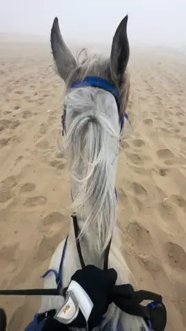 انا وحصاني الابيض نشق الضباب🤍 #fyp #fypシ #foryou #explore #horse #horses #saudiarabia #khobar #dammam  #خيول #خيل #حصان #خيل_وخياله🐎 #اكسبلور #السعودية #الخبر #الدمام #خيالة #فارسات_سعوديات #خيول_عربية_اصيلة #خيول_عربية #خيل_عربي_اصيل #حصان_عربي_أصيل #اكسبلورexplore #فوريو 