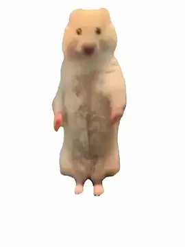 美好的一天