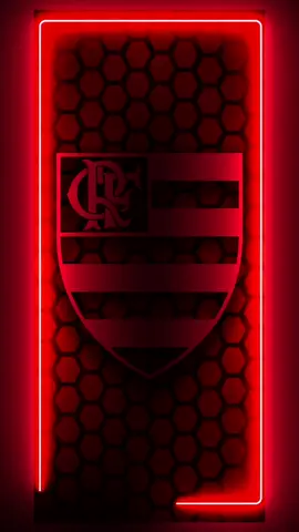 Flamengo, papel de parede animado, wallpaper #papeldeparede #wallpaper #flamengo #mengo #foryou 
