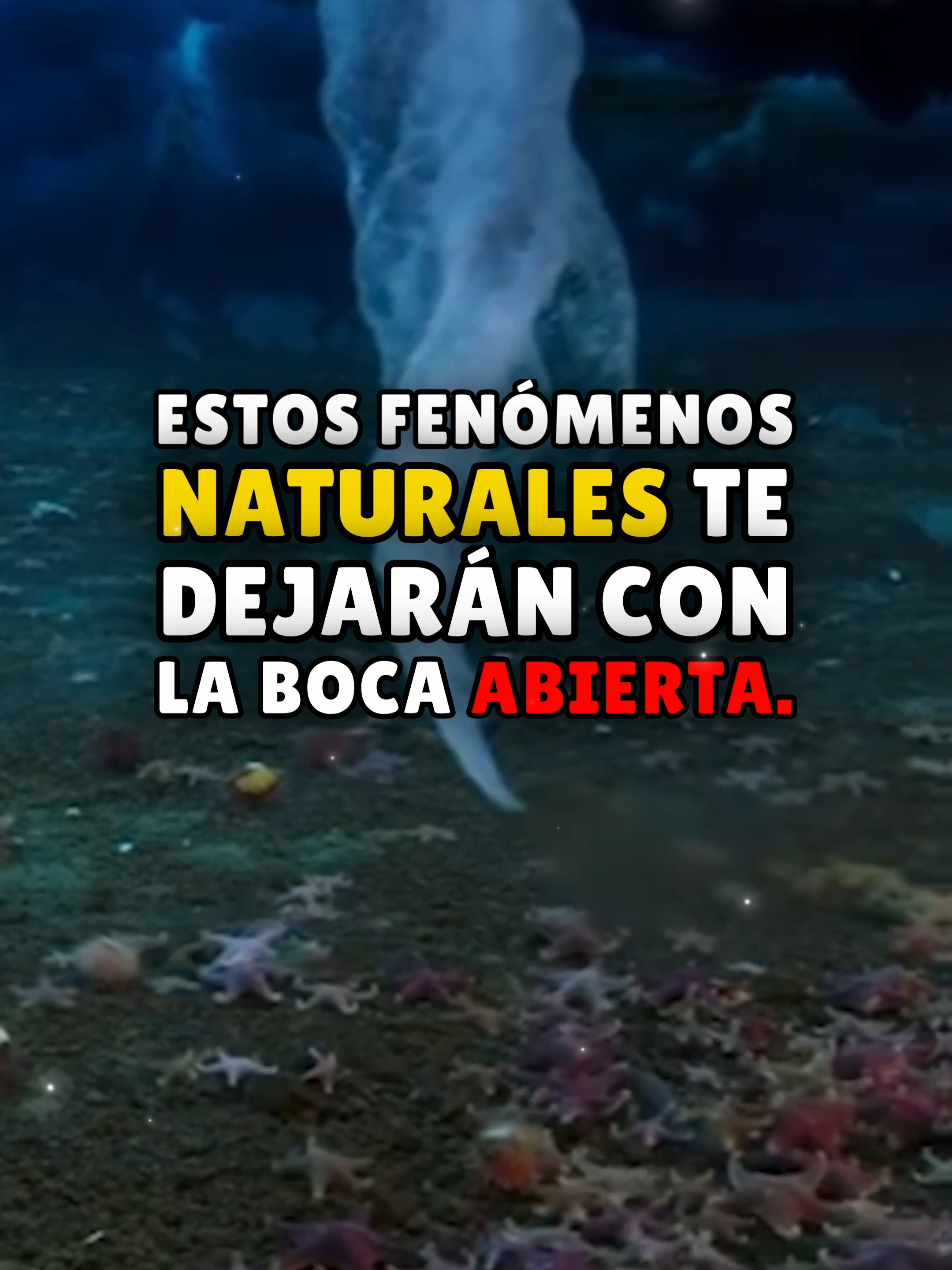 FENOMENOS NATURALES que te DEJARÁN con la BOCA ABIERTA #dankev #fenomenosnaturales #naturaleza #tendenciatiktok #tops