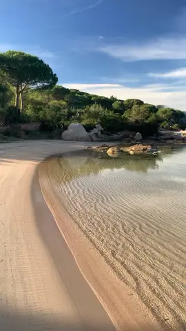 Angoli di paradiso nel nord-est della Sardegna🏝️ 📍Le Farfalle- Cala Suaraccia - Sardegna - Italy 🇮🇹  . . 🎥 di Marco Murru  @markmurru  . . #sardegna_mia_ #sardegnamia  #sardegna #earth #places #wonderful_places #italia #beautifuldestinations #ig_italia #igersitalia #natgeotravel #travelphotography #photography #dream #naturephotography #theglobewanderer #roamtheplanet #videosardegnamia 