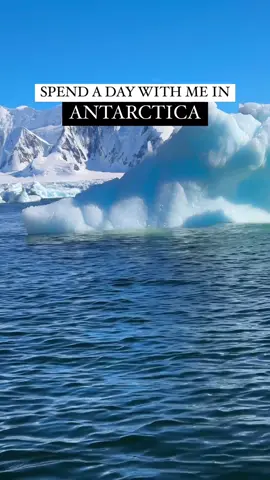 Best trip ever with @Scenic.luxurycruisestours 🥰😍 #antarctica #antarcticexpedition #sceniceclipse #scenicwonder #scenicexperiences #scenicpartner #bucketlisttravel #cruise 