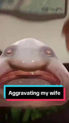 If you don’t bother your wife, you ain’t livin’ life right 😂😂 #fyp #foryou #funny #funnyvideo #funnyvideos #foryoupage #foryourpage #filter #wife #dad #dadsoftiktok 