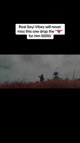 Follow this page NSNV