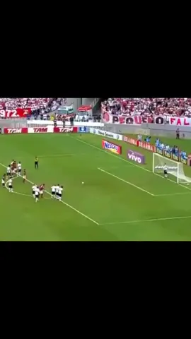 Petković x Rogério Ceni / o Sérvio era brabo demais. 🔥 #flamengo #saopaulo #petkovic #rogerioceni #brasileirao #penalti #mengao #nacaorubronegra #torcidadoflamengo #fy #viral #viralvideo #tiktokesporte 