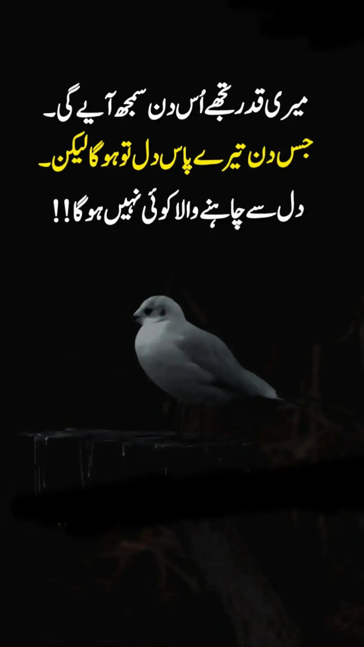 #urduline #urdupoetry #urdu 