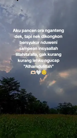 Alhamdulillah☺🫶🏻🫶🏻🫶🏻 #kyystory⚡ #fypシ #stroywa #xyxbca 