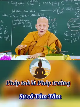 Pháp toà là Pháp trường. Sư cô Tâm Tâm.#sctamtam #sucotamtam #nstamtam #nisutamtam #nitruongtamtam #thichnutamtam #tinhxaphaphue #tinhxaphaphuebinhtan #xuhuongtiktok #xuhuong #xuhuong2024 #tet2024 