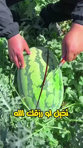 يارب لك الحمد لله يا ربي رزقك يا الله 