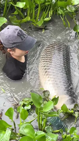 Unbelievable fish trap with survival skills to catch giant river monster 😱 #fishing 