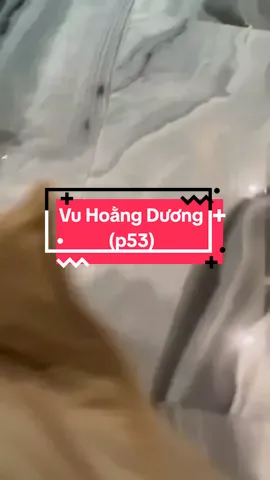 #vuhoangduong #douyinchina #抖音 #fyp #xuhuong 