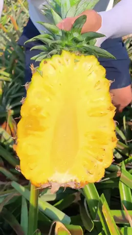 OMG😱😋👩‍🌾#uk #usa #fruit #asmr 