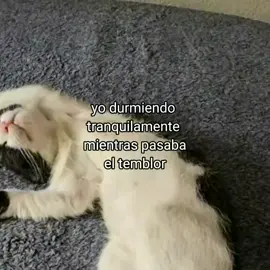 Quien estuvo así? yo no sentí nada 🤷 🙂#temblor#guatemala🇬🇹 #temblor #502#2024 