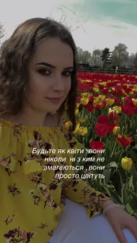 #тюльпани #нідерланди🇳🇱 #🌷#українськийтікток 