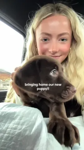 she’s the sweetest 🥹🐶 #newpuppy #bringinghomepuppy 