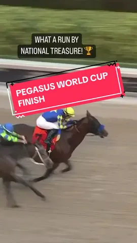 National Treasure wins the Pegasus World Cup! 🏆 #horseracing #horse #pegasus #miami 