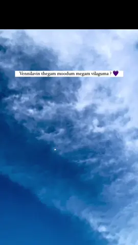 #tamilsong #besttamilbgm #fyp #fypシ゚viral #trendingnow #songlyricsvideo #wordsspeaklife #musicdrug❤️‍🔥 #yaazhini #alltimefavourite #mrk #fellinlove #painrelief #musicworld #lovemusic🎉 #BGMCollections #bestmedicine #listening #vibe 
