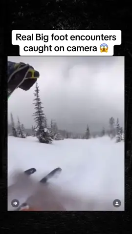 Real big foot encounters caught on camera 😱🤯! #scary #horror #mystery #scaryvideos #creepy #scarytiktoks #hauntedtiktok #usa #horrortok 