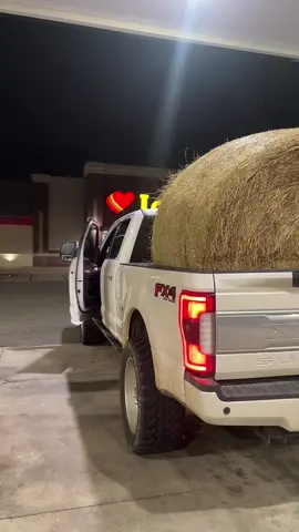 They dudnt have slushies so we had to settle for a glizzy… #slushietrend #slushietrucktrend #yeehaw #country #haybales #platinum #ford #trucktok #trending #funny #glizzy #Love #bagseason #cowboy #ranchlife #trucks 