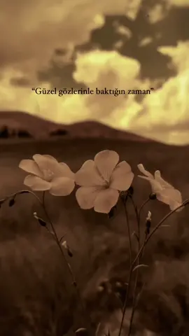Dünyalara bedel o sevgi sensin🖤 #osevgisensin #müslüm #müslümgürses #müslümbaba #tiktok #keşfet #fyp #viral #reels #story 