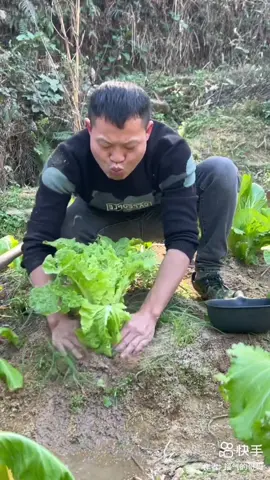 Tưới Cây Kiểu Độc Lạ Bình Dương #  Funny # Funnyvideos # Vairal # Vairal Tik Tok # Trend # Trending # Funny Tik Tok # Fyp # Hài Trung Quốc # Hài Hước # Trung Quốc Hài Hước # htq # tqhh 