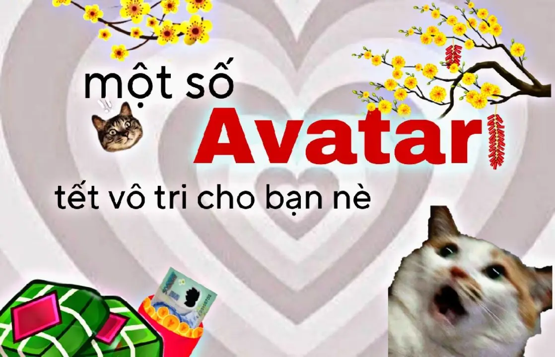 avt tết siêu vô tri cho mấy ní nè! cre : pin #avt #meo #meme #xh #tet