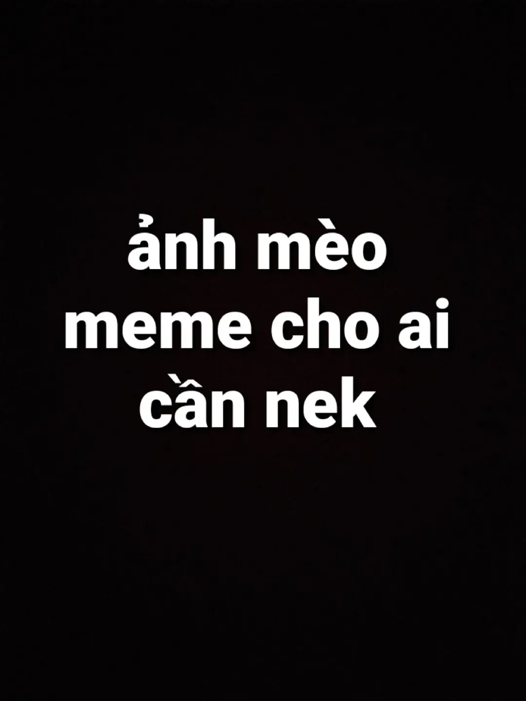 kìn chai nà#xh #meme #meo 