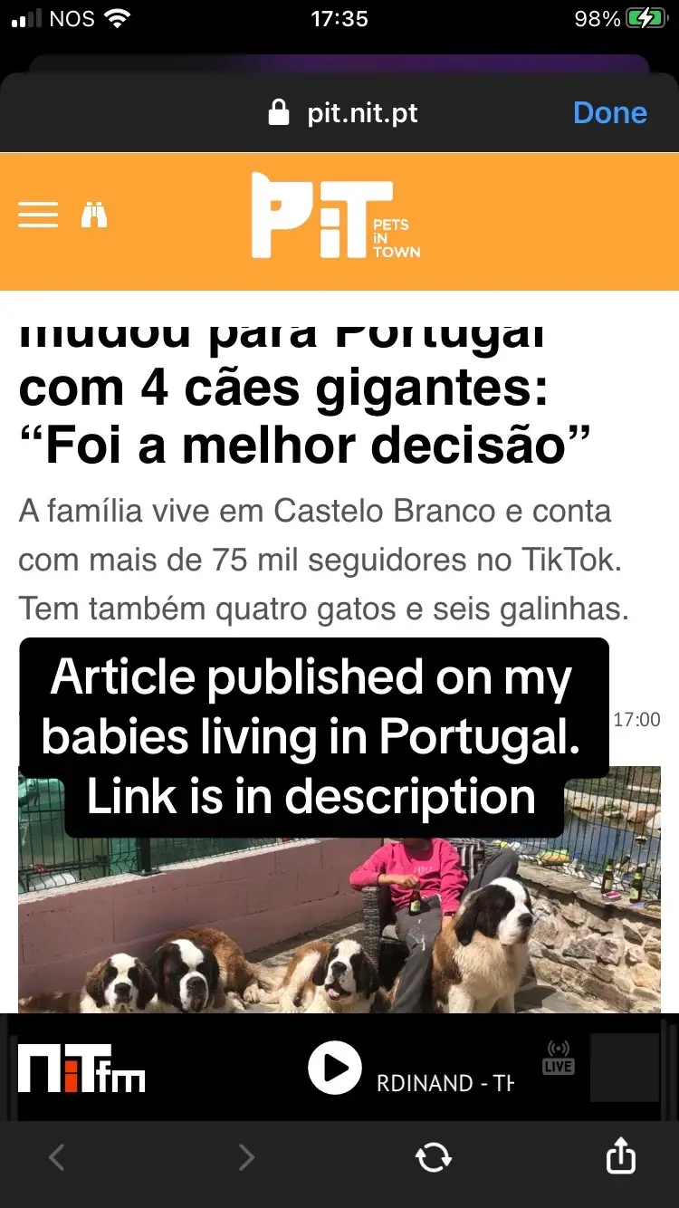 https://pit.nit.pt/familia/o-casal-ingles-que-veio-para-portugal-com-4-caes-gigantes-foi-a-melhor-decisao Article published on living with saints in portugal 🇵🇹 on my babies #saintbernard #livinginportugal #fame #foryou 