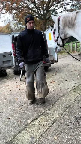 The smell of this 😳 #samdracottfarrier #asmr #oddlysatisfying #horse #horsesoftiktok 