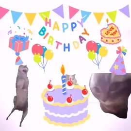 @¡🎧!  .  .  .  #felizcumpleaños #xyzbca #fyp #cats #gatos#cumpleaños 