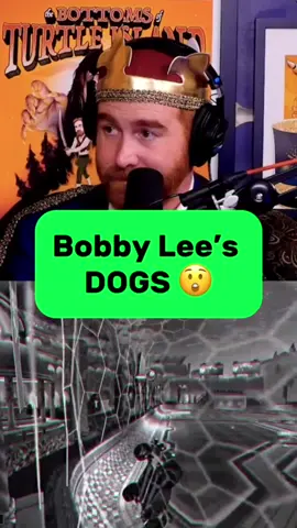 Bobby Lee’s Dogs 😂 #badfriends #bobbylee #andrewsantino 