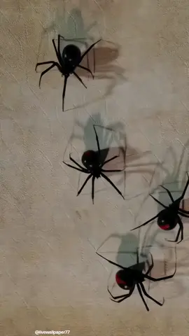 4K Live Wallpaper #arachnophobia #arachnophobiacheck #fearofspiders #spider #4klivewallpaper #fyp 