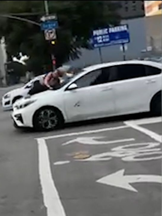 Terrifying video captured the moments a woman clung to the hood of a speeding car in Southern California after her French bulldog was stolen. #news #fyp #stolendog