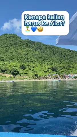 Coba tulis alasan kalian kenapa mau banget ke Alor?? 🏝️🔥💙🦈🪸 #alorisland #alorviral #kalabahi❤️🌈alor🌈ntt #anakntt #faktaunik #alorislandntt #funfact 