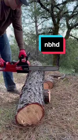 super impressed with this m18 fuel 16” chainsaw. ripped through this pine tree with a 4.0 battery. thank you Milwaukee tool for providing the free product to review #milwaukeetool #nothingbutheavyduty 