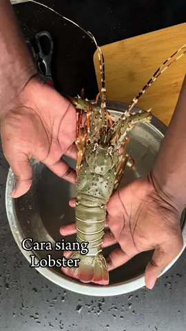 Cara siang lobster dengan mudah mengunakan gunting sahaja ! #mathanedward #chefgangster #rowdychef😂 #MakanLokal #sianglobster 