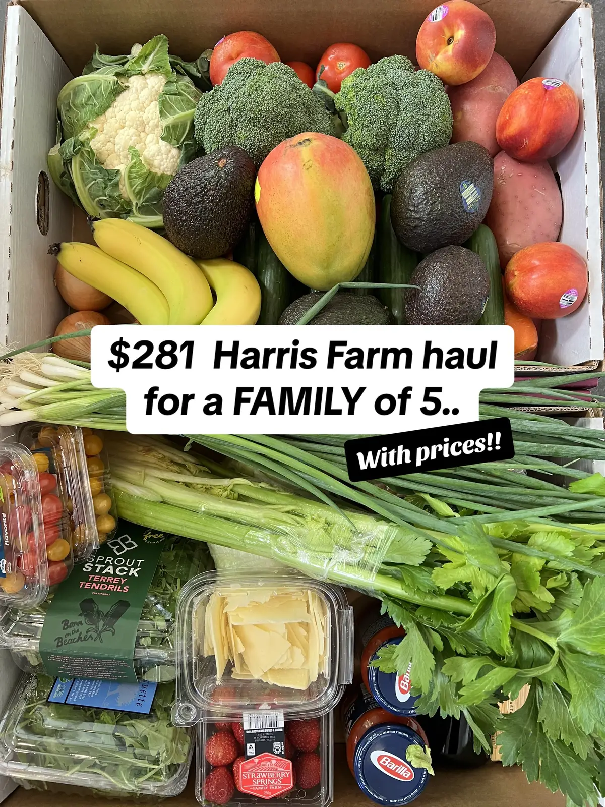 … Slipped over snd bought a few high ticket items, so if you minus those its even cheaper.. Seriously though, Harrys is tbe best for produce and meat esp when it comes to quality. #food #groceries #foodhaul #shopping #groceryhaul #groceryshopping 