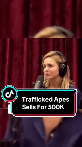 Joe Rogan and his guest talks on trafficked Apes crisis in the congo #joeroganexperience #podcast #podcastclips #scary 