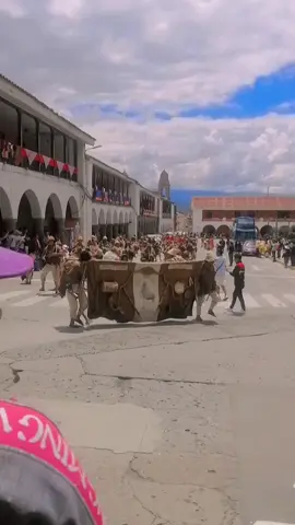 #carnavales #ayacucho_peru🇵🇪🇵🇪 #fypシ #ayacuchana❤️🦋 