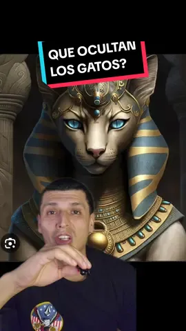 LA TEORÍA DE LOS GATOS HIBRIDADOS C9N REPTILES #greenscreen #nuevomilenio #conspiracytiktok 