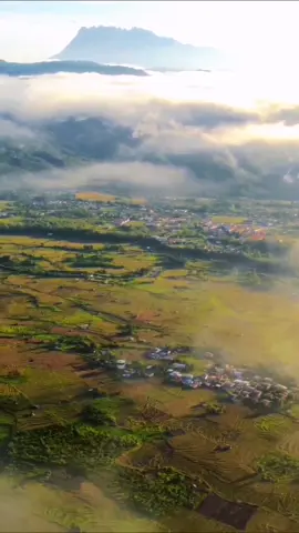 Splendid view from Tambunan 🌾 📍 Tambunan, Sabah Word & Reels by @vincentandam #exploresabah #KKCity 