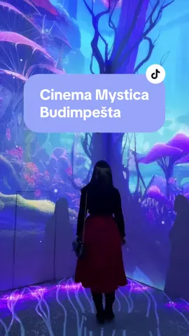 ✨ NAJNEOBIČNIJE ISKUSTVO IZ BUDIMPEŠTE ✨ Koliko god da mislite da ste u nekom gradu već sve videli, uvek možete pronaći nešto novo što će upotpuniti svaki vaš naredni boravak.  U srcu Budimpešte, na adresi Ferenciek Tere 10, leži jedno od najneobičnijih iskustava koje možete doživeti - Cinema Mystica. Teško mi je da tačno definišem ovo mesto. ne bih ga opisala ni kao muzej, niti galeriju ili izložbu, već kao mesto gde se spajaju svetlost, zvuk, umetnost i magija. 🌈 Ovo mesto je savršen spoj tehnologije i umetnosti. Kroz digitalnu umetnost, projektovane prostore, 3D štampane skulpture i interaktivne instalacije, posetioci  istražuju granice percepcije i stvarnosti. Ceo ambijent odiše jedinstvenošću, sa vizualnim i auditivnim senzacijama koje vas vode u potpuno novi univerzum. Ovo iskustvo je teško opisati rečima - morate ga doživeti da biste ga razumeli. Radno vreme Cinema Mystica je svakog dana od 10 do 22 sata, a cena karte iznosi oko 15 evra. Ja sam se baš oduševila ovim mestom i bez sumnje bih ga preporučila svakome ko traži nešto novo, inspirativno i magično u Budimpešti. Kako vam se čini ovakav vid umetnosti? #cinemamystica #budimpesta #putovanje 