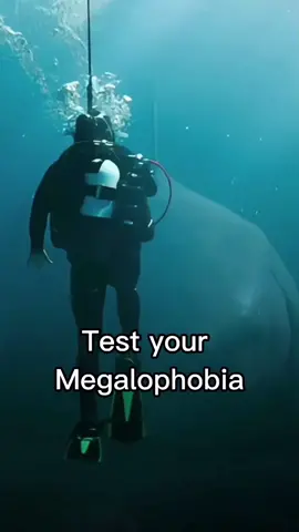 #fyp #fears #ocean #northsea #scary #megalophobia #phobia #megaladon 