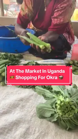 Your Auntie is at the Market in Uganda 🤗 🇺🇬 We recently made a video about how to select the best Okra and some people said that market sellers wouldn’t be happy about testing the okra for freshness but look here, we are at the market and the seller is helping us test for freshness before buying.  #Okra #OkraLover #OkraRecipe #OkraSoup #OkraStew #OkraPicking #GrowingOkra #CookingWithOkra #FoodShopping #Otigo #AcholiFood #UgandanFood #Ugandan #UgandanRecipe ⁠#UgandaFood #Uganda #AfricanRecipe ⁠#AfricanFood⁠ ⁠ #foodinspiration ⁠ #food #ugandancuisine ⁠#foodblogger ⁠ #foodblogging⁠ ⁠ #foodyoutuber #foodphotography #instafood #foodreels #UgandaReels #UgandaTiktok  